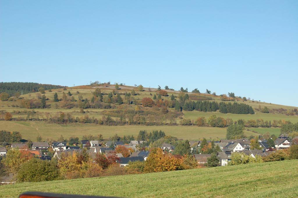 Ferienwohnungen Westfalenhof Willingen (Upland) Exterior foto