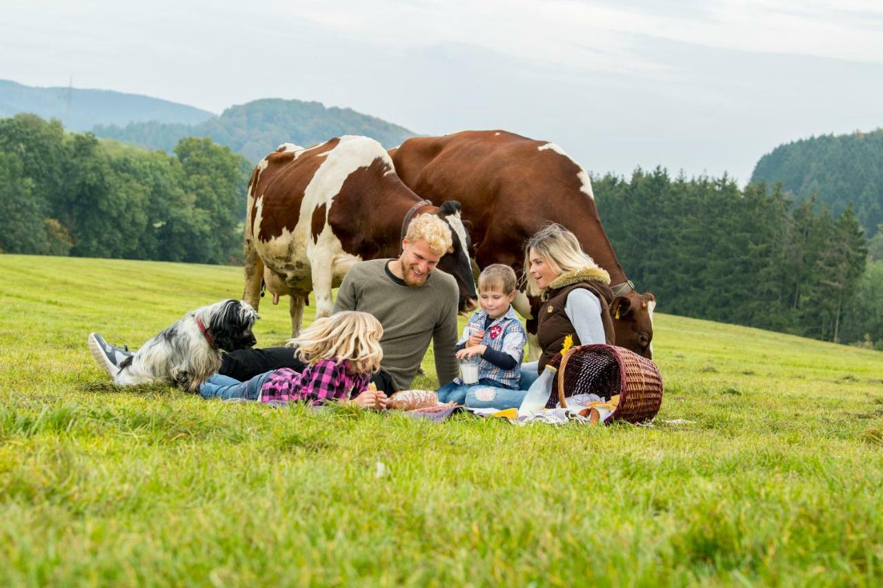 Ferienwohnungen Westfalenhof Willingen (Upland) Exterior foto